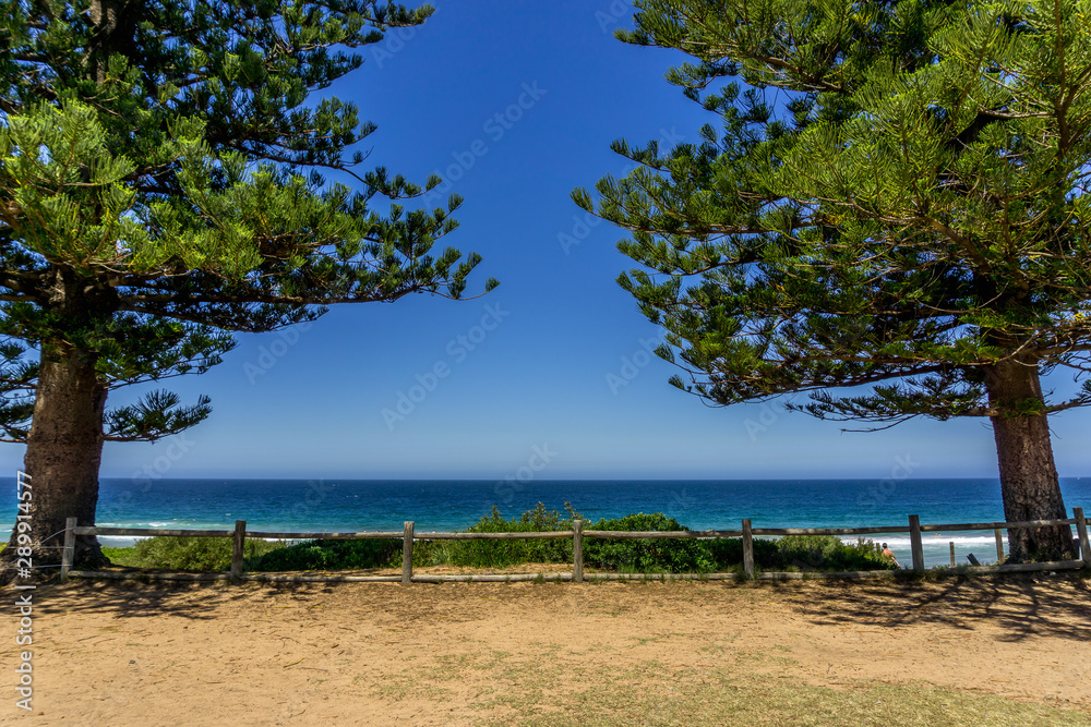 Scenic Palm Beach, a suburb in the Northern Beaches region of Sydney, New South Wales. East coast Australia. Horizon over ocean.
