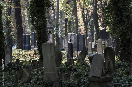 Jüdischer Friedhof an der Schönhauser Allee in Berlin Prenzlauer Berg photo