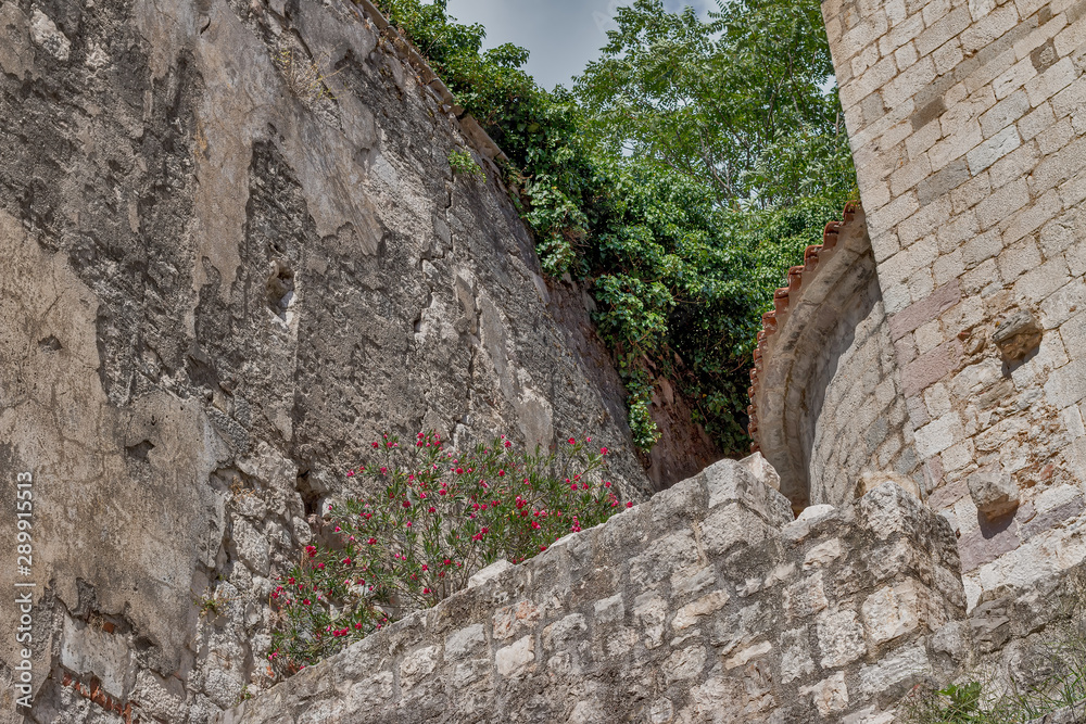 Walls of an old building with plants and flowers