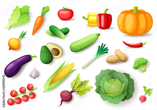 Wallpaper Mural Colorful fresh vegetables set isolated, organic healthy food Torontodigital.ca