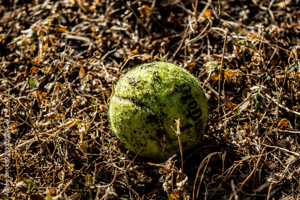 Obraz premium Play With The Ball