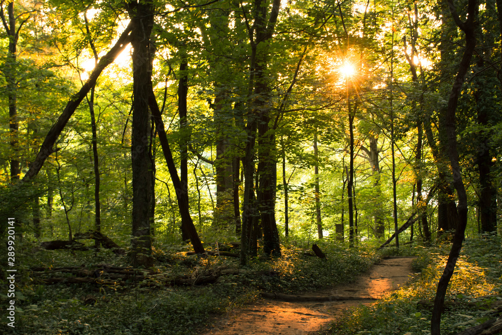 Sun Rays on a Evening Hike Sun Rays on a Evening Hike