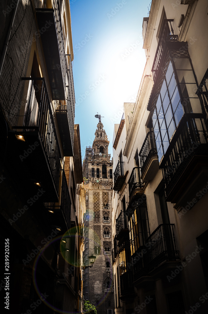 Fototapeta premium View of Giralda tower of Cathedral of Saint Mary of the See, Seville Cathedral, through a narrow street, Andalucia, Spain