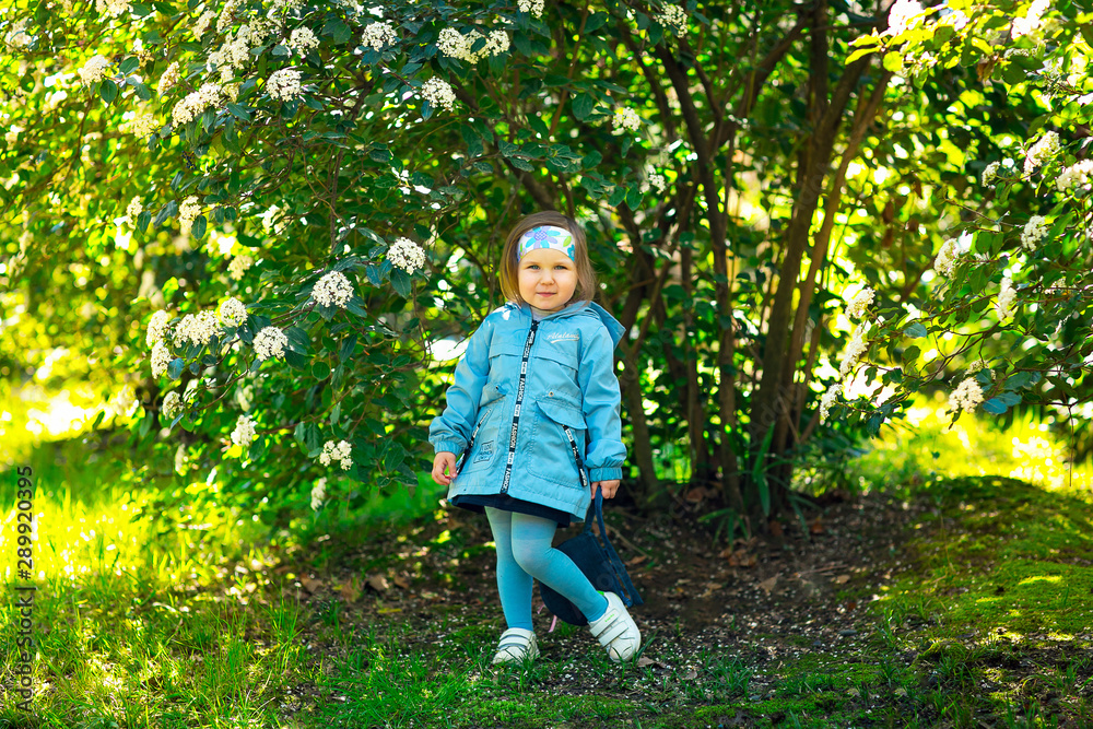 little girl with blue eyes, blue clothes, near the flowers in the Park little girl with blue eyes, blue clothes, near the flowers in the Park