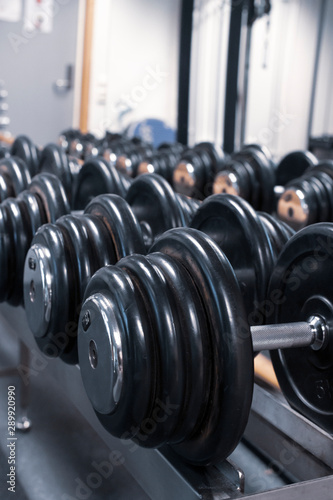 Row of weights in gym