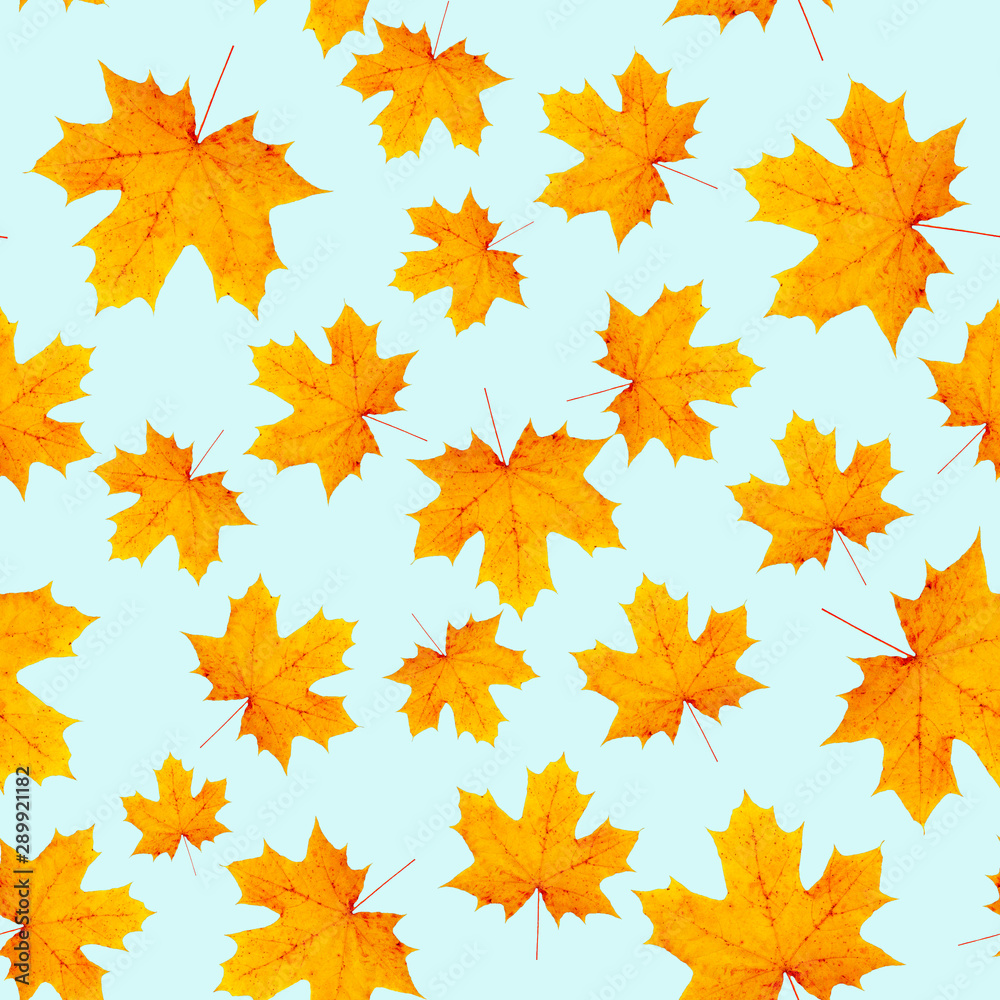 maple leaf pattern.  menthol background