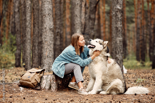 Young Girl with her Dog, Alaskan Malamute, Outdoor at Autumn. Domestic pet