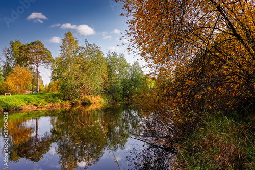 Autumn landscape on the banks of a forest river on a sunny warm day.
