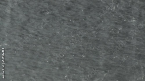Closeup of Raindrops in a Heavy Torrential Downpour on Pavement during a Severe Storm Shower in Florida