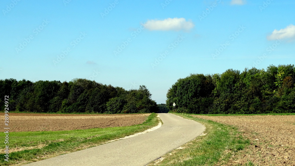 Straße in mitten der Natur