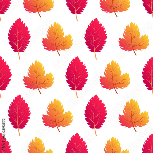 Autumn seamless background with maple  leaves