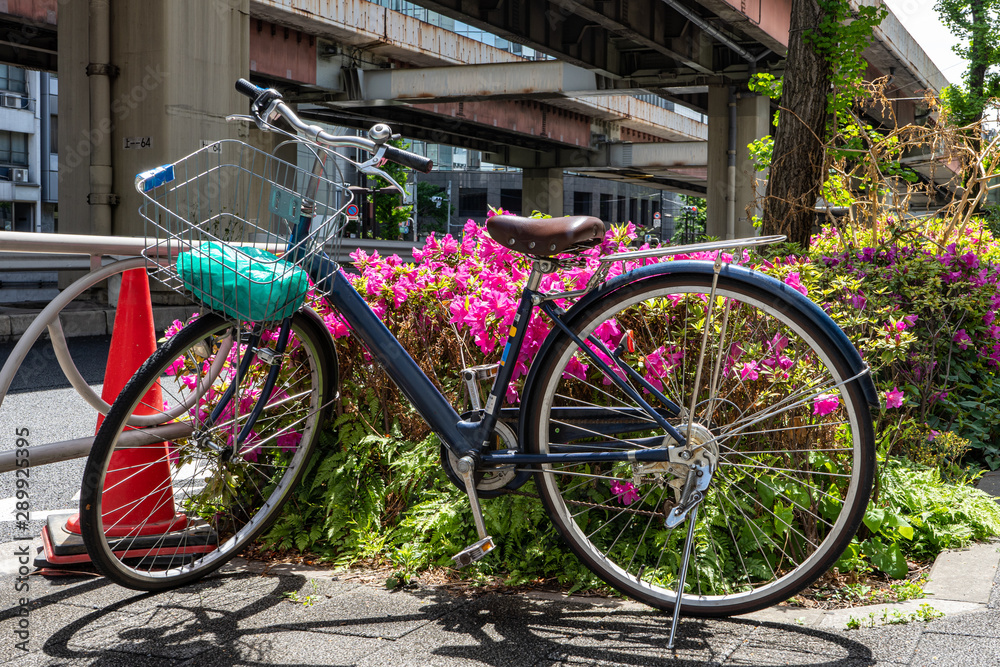 blue bicycle and pink blooming flowers and tree near road under bridge