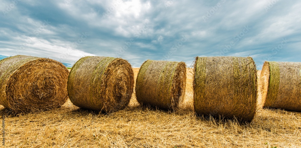 Countryside Hay Bales