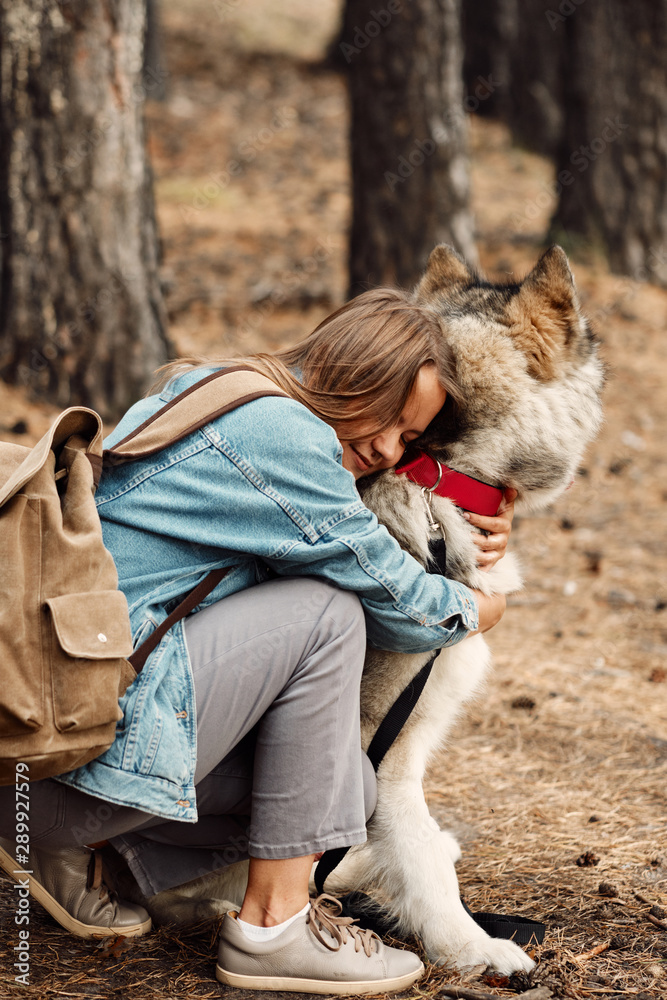 Young Girl with her Dog, Alaskan Malamute, Outdoor at Autumn. Domestic pet Young Girl with her Dog, Alaskan Malamute, Outdoor at Autumn. Domestic pet