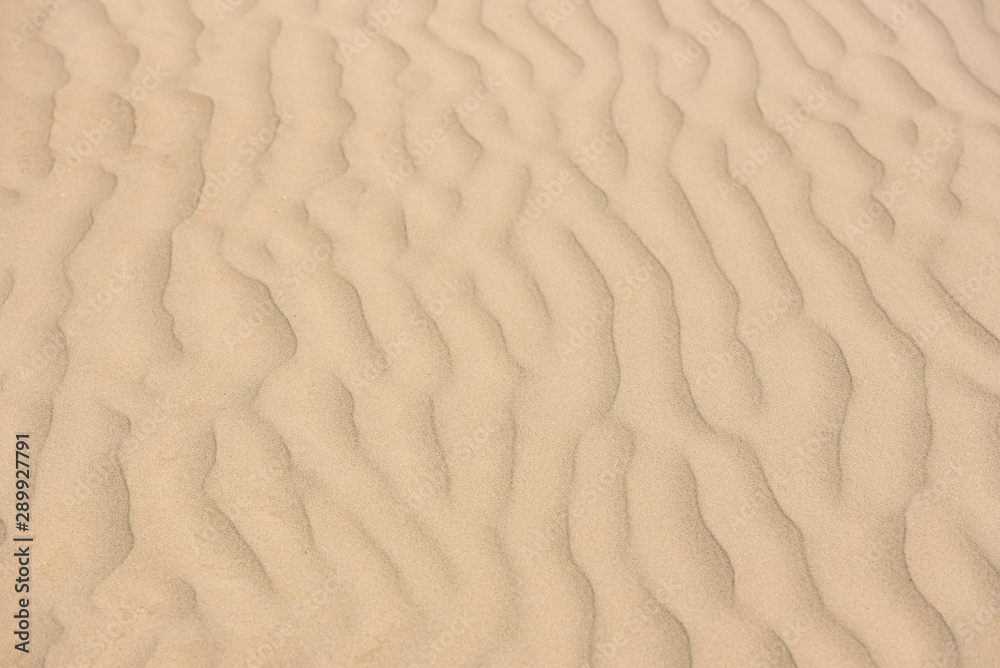 Wind made sand pattern in beach. Wind made sand pattern in beach.