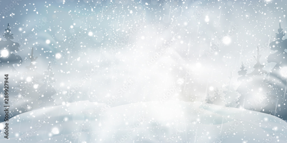 Fototapeta premium Christmas, Snowy Woodland landscape. Holiday winter landscape for Merry Christmas with Snowstorm, blizzard, firs, coniferous forest, snow, snowflakes. Christmas scene. Happy new year.