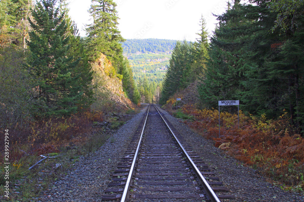 Fototapeta premium Railroad rails running into the fall landscape