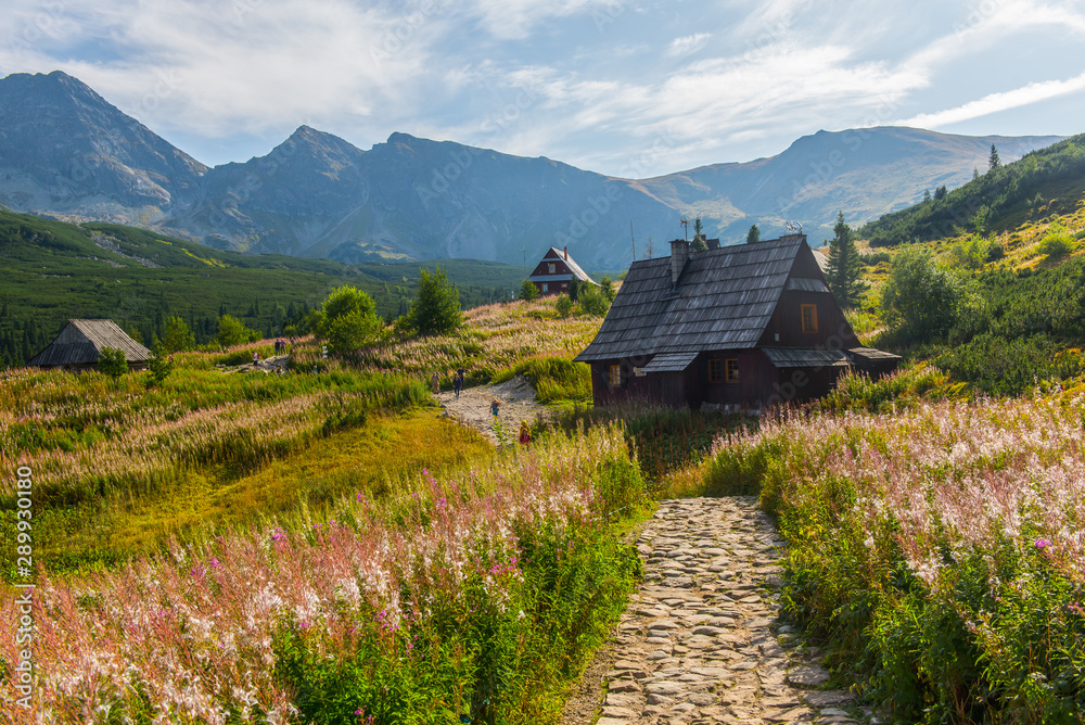 Obraz premium Hala Gąsienicowa, Tatry - sierpień 2019