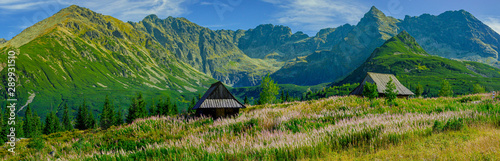 Fototapeta panorama widok dolina panoramiczny jesień