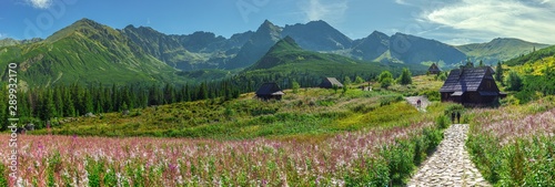Fototapeta dolina panorama jesień tatry panoramiczny