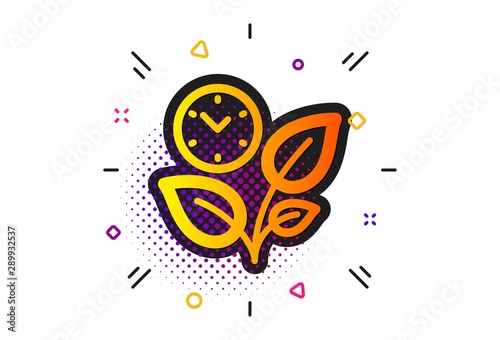 Grow plant leaf sign. Halftone circles pattern. Leaves icon. Environmental care symbol. Classic flat leaves icon. Vector