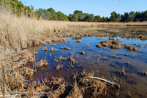 Billede på lærred Saline salt marsh on Brijuni National Park