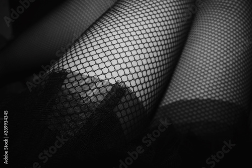 Black and white closeup of woman hips in mesh tights and lace skirt photo