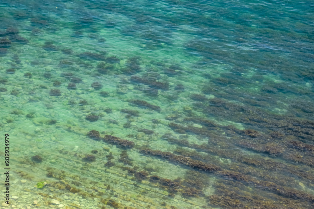 Fototapeta premium Layered shore structure in shallow water.