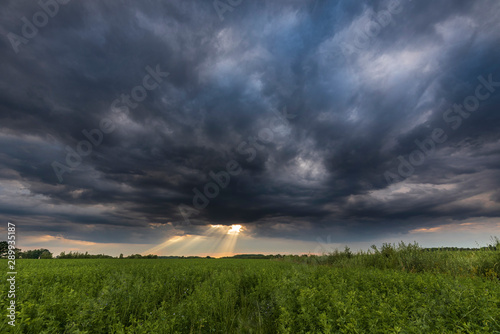 Dark storm sky and open agriculture field during sunset. 