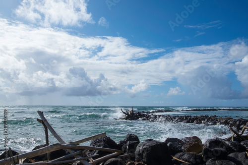 Landscape ocean waves driftwood in Kauai 