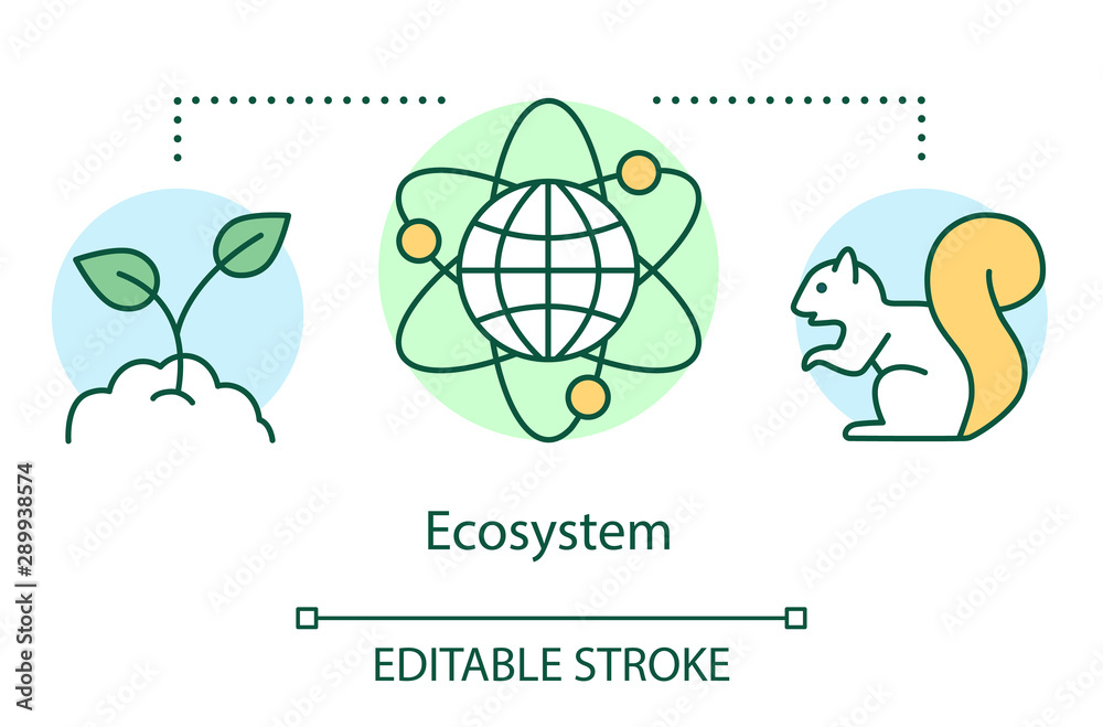 Ecosystem concept icon. Biodiversity conservation. Protection of plants and  animals. Biological organization of Earth idea thin line illustration.  Vector isolated outline drawing. Editable stroke Stock Vector | Adobe Stock