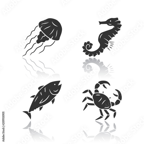 Sea animals drop shadow black glyph icons set. Swimming tuna, seahorse, jellyfish. Seafood restaurantю Marine fauna. Undersea world inhabitants. Ocean fish and mollusk. Isolated vector illustrations