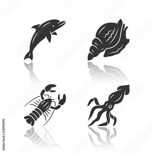 Ocean animals drop shadow black glyph icons set. Dolphin, squid, lobster, triton. Underwater world inhabitants. Swimming fish. Seafood restaurant menu. Aquatic creatures. Isolated vector illustrations