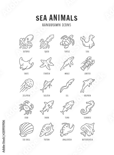 Sea animals linear icons set. Turtle, jellyfish, lobster, butterflyfish. Underwater wildlife. Ocean inhabitants. Thin line contour symbols. Isolated vector outline illustrations. Editable stroke