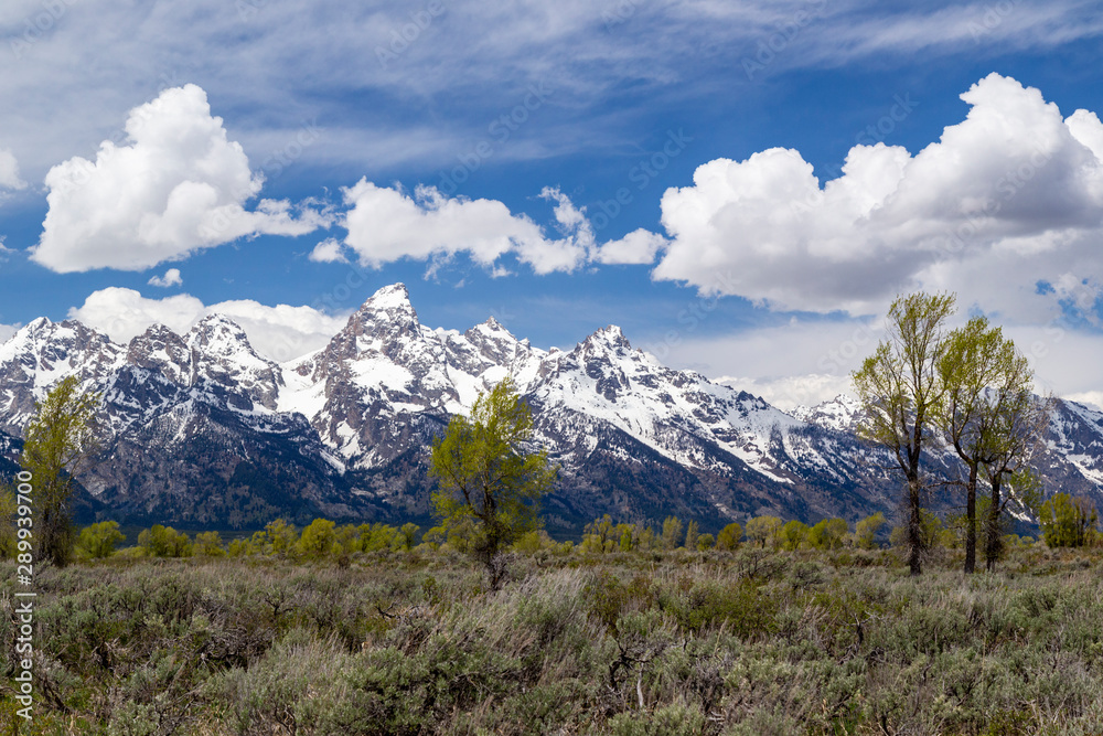 Obraz premium The Grand Teton