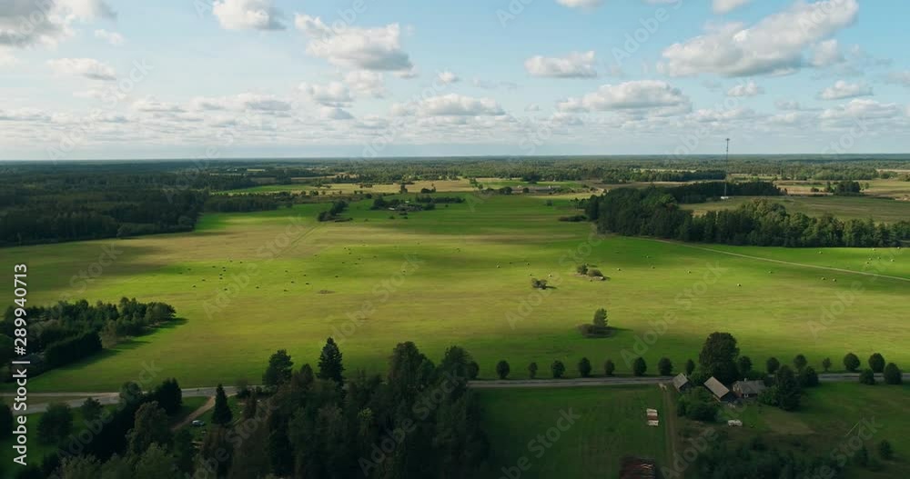 Aerial Flight Over summer forest and fields at sunset. Aerial footage. Amazing Lighting.