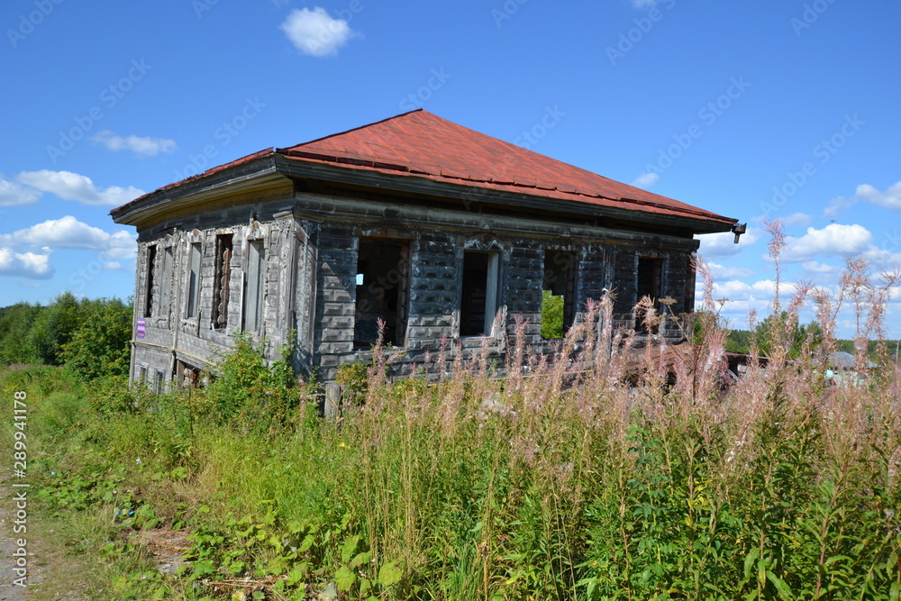 an abandoned but beautiful house, and a thicket of fireweed around an abandoned but beautiful house, and a thicket of fireweed around