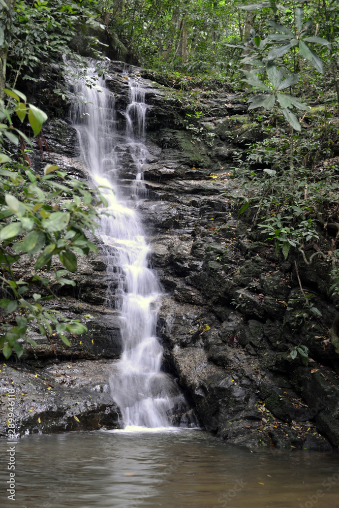 tropical waterfall in atlantic forest, brazil