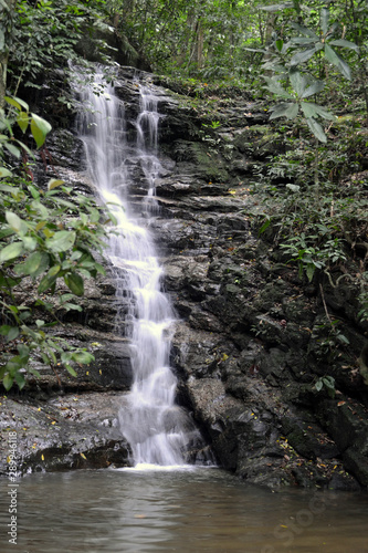 tropical waterfall in atlantic forest  brazil