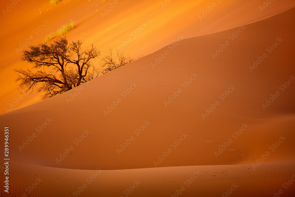 Red sand dune of Namibia