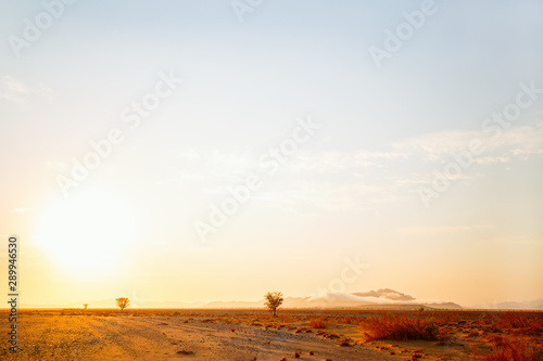 Namib desert landscape