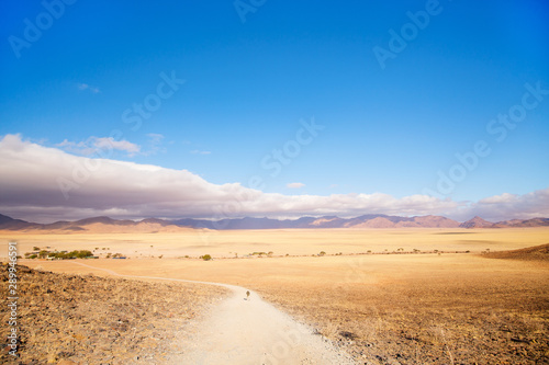 Namib desert landscape