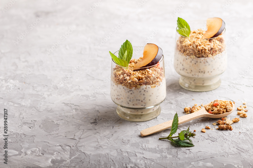 Yoghurt with plum, chia seeds and granola in a glass and wooden spoon on gray concrete background. side view Yoghurt with plum, chia seeds and granola in a glass and wooden spoon on gray concrete background. side view