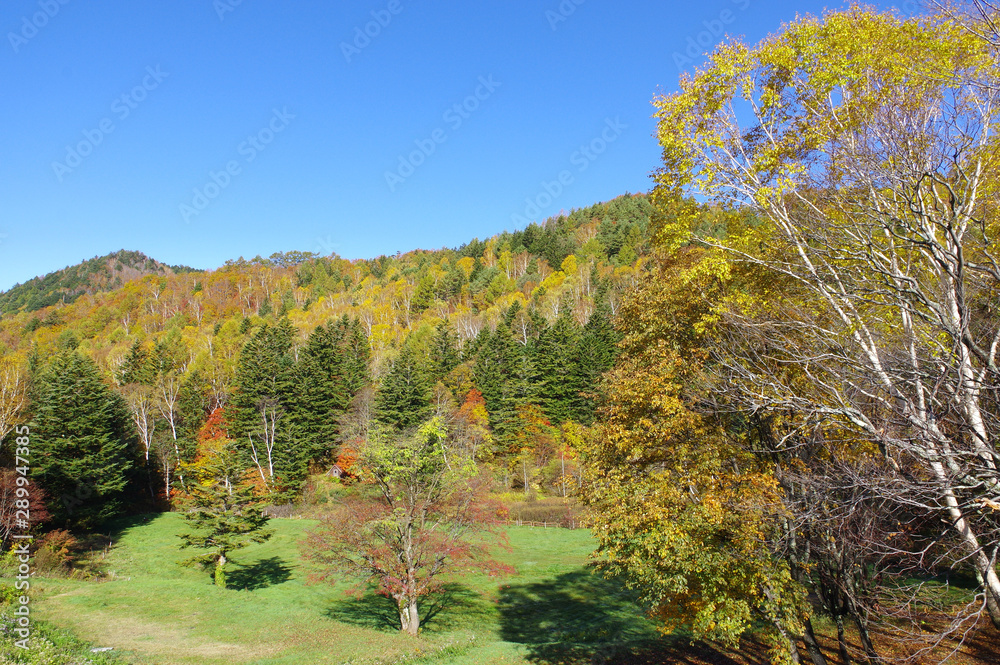 秋の山田牧場