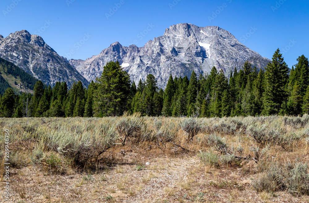Fototapeta premium Mount Moran