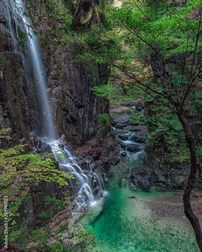 waterfall in forest