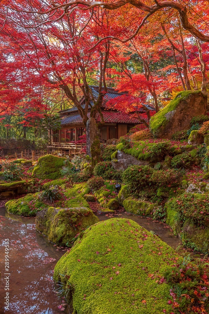 autumn in temple