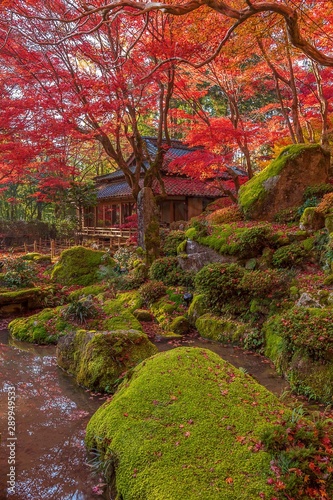 autumn in temple