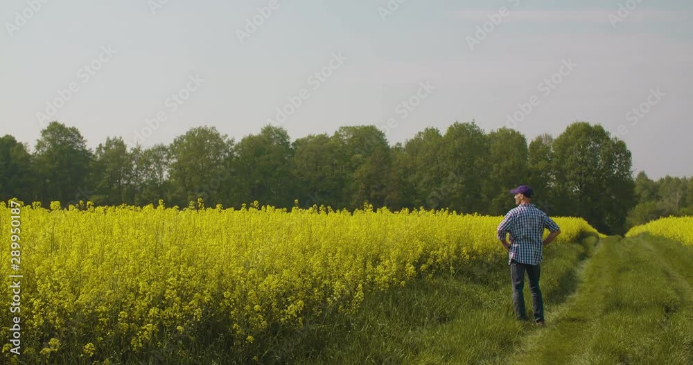 Agriculture Farmer examining field Modern Farming Agriculture Farmer examining field Modern Farming