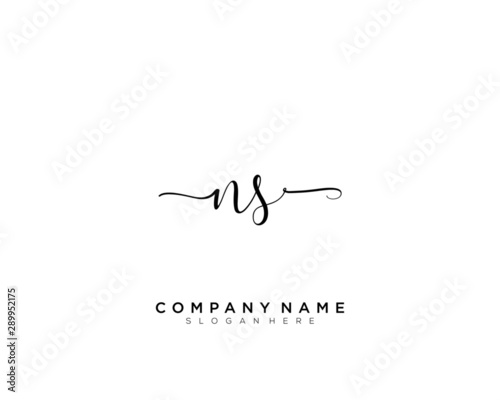 N S NS Initial handwriting logo vector	